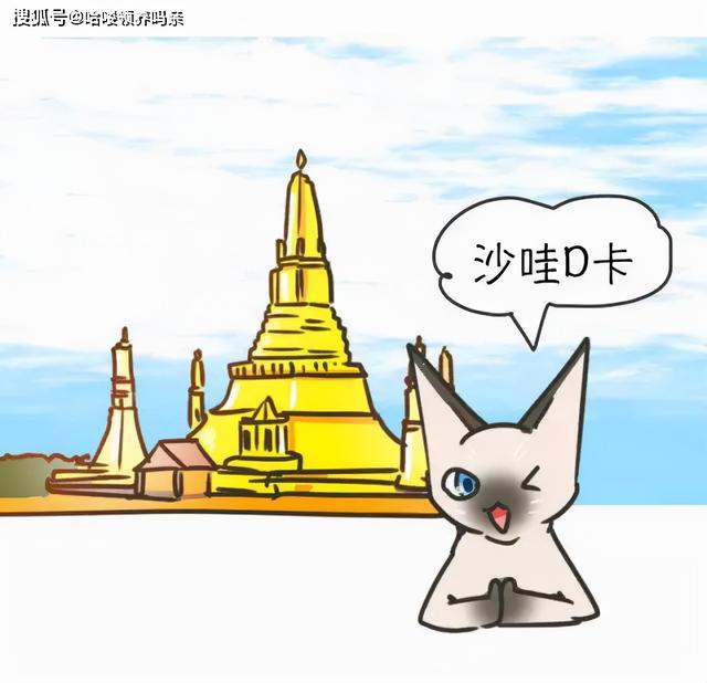 暹罗国是哪个国家（猫界变色龙：暹罗猫）