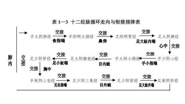 任督二脉在哪里，任督二脉在哪（任督二脉就是经络的全部）