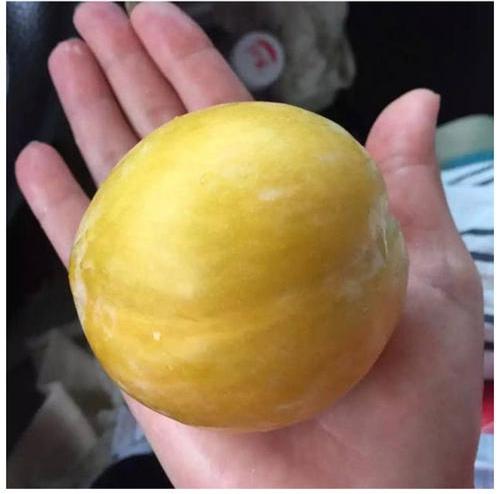 赚钱的好项目(投资小利润高的小生意)