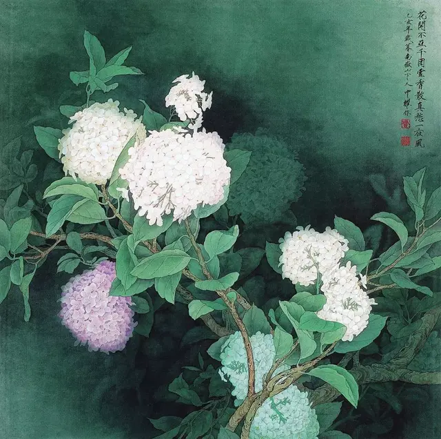 绣球怎么画，绣球怎么画的图片大全（这么难画的绣球花）