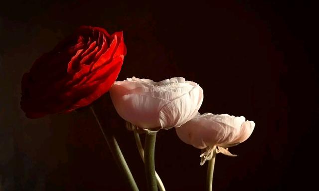 有缘无份是什么意思，佛教如何解释有缘无份（有一个人，注定与你有缘无份）