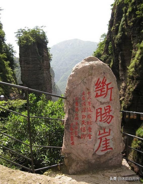 葵花宝典是什么意思，内卷是什么意思（葵花宝典到底出自何人之手）