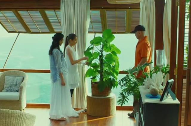 非诚勿扰2 影评，非诚勿扰2影评（看冯小刚《非诚勿扰2》李香山的人生告别会）