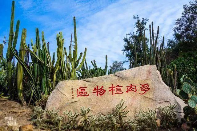 厦门万石植物园里有哪些植物，厦门万石植物园里有哪些植物花（种满多肉的植物园）