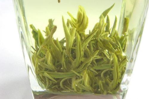 信阳毛尖属于绿茶类吗，信阳毛尖是绿茶还是花茶（均属绿茶的两款毛尖茶哪一款更好喝呢）