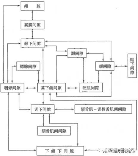 颞间隙感染，颞间隙感染切开部位（颌面部间隙感染影像诊断及各间隙解剖介绍）