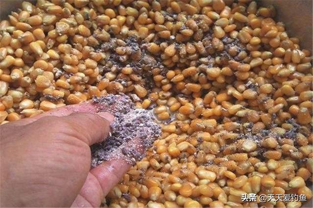 钓鲤鱼配方，钓鱼配料秘方鲤鱼鲫鱼（自制饵料中的经典配方）