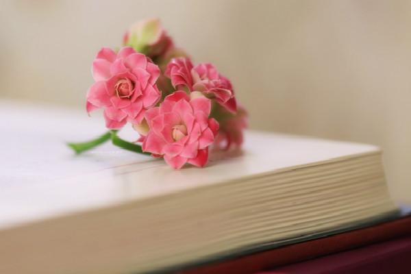 积极向上的作文，积极向上充满正能量的小学生作文（积极向上励志文章精选3篇）