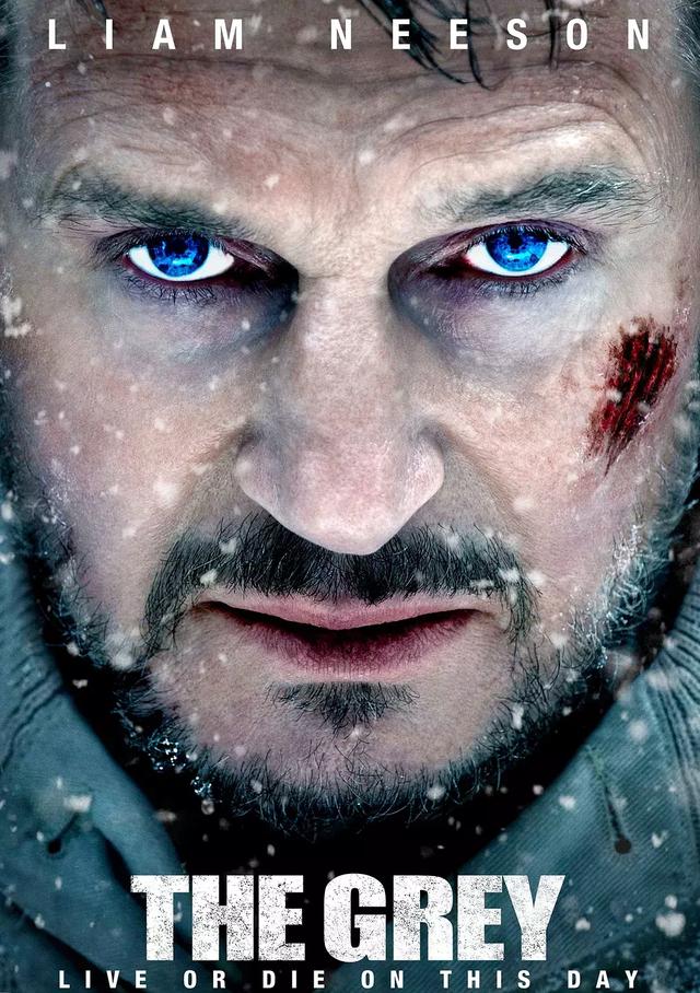 科恩兄弟电影十大经典，科恩兄弟的电影（26部连姆.尼森经典高分电影）