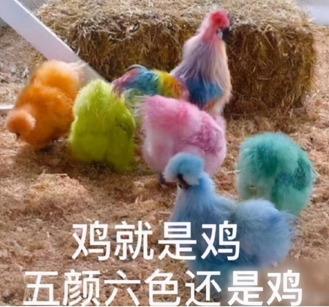 梦见摘桑葚吃是什么意思周公解梦，梦见摘桑葚是什么意思（国产仙侠剧的“好嫁风”）