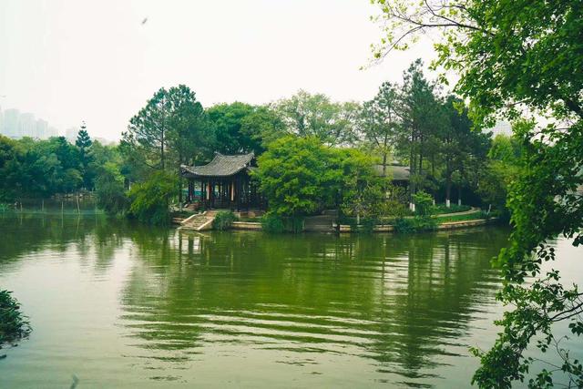 温州三垟湿地的历史，探寻传说中的161座小岛