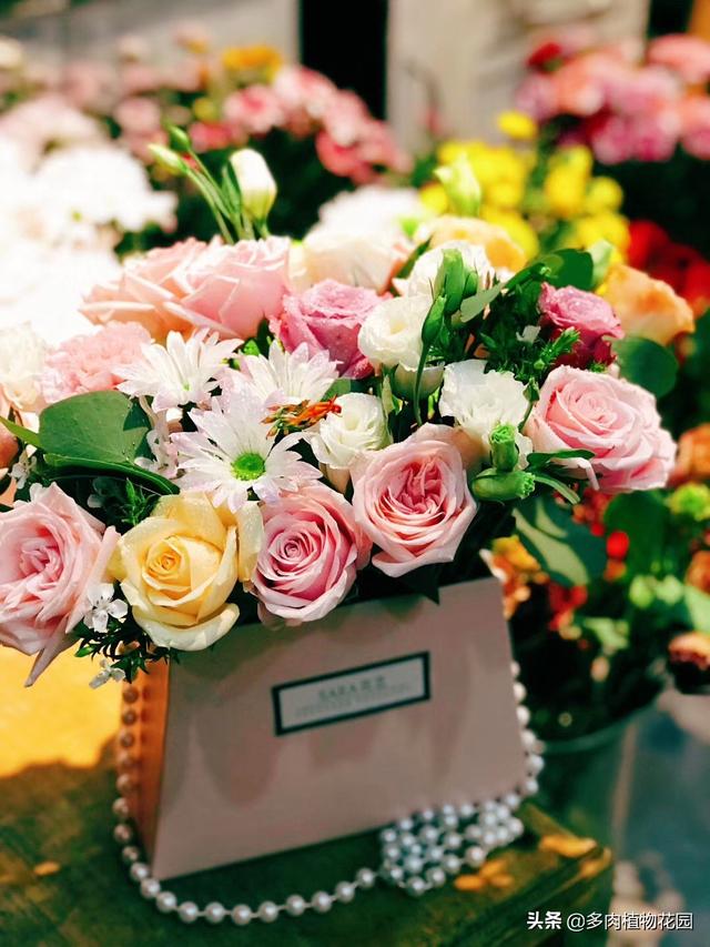 教师节送什么鲜花，教师节送什么鲜花给老师好（这些花表达了对老师最真的敬意）