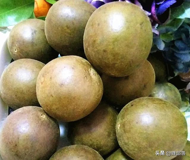 什么药材好种植，这5种中药材，年年高价（这5种药材种植产量高）