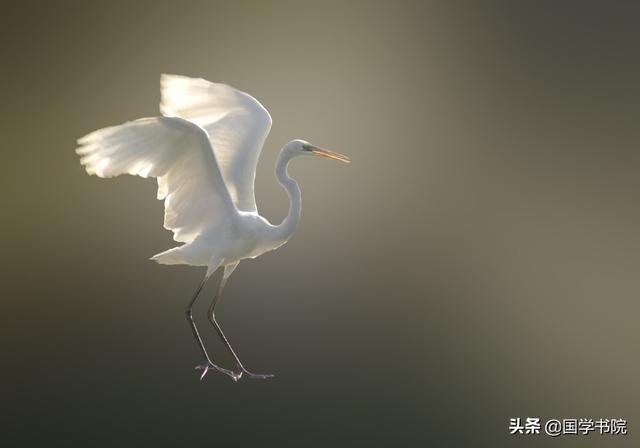 七字挽联大全，父亲去世七字对联带横批的有哪些（经典七言对联20幅）