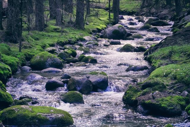 祁连山的位置，祁连山的位置图片（我们自驾走进祁连山国家级自然保护区）