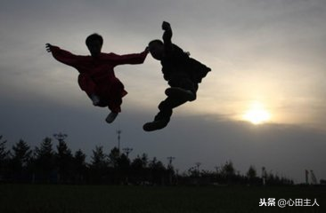 中国的拳法有哪些，中国的拳法有哪些名字（中国武术拳种概举）