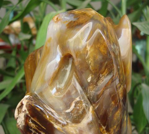 玉化是什么意思，绿松石玉化料是什么意思呀（为什么玉化砗磲就贵）