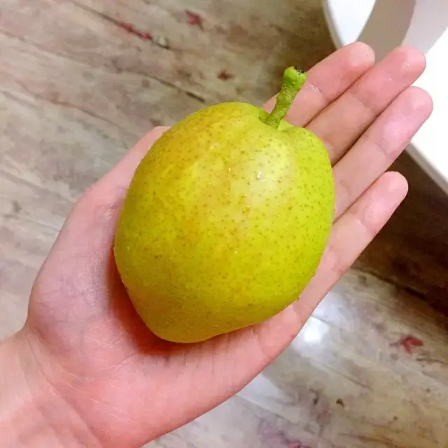 什么病不能吃香菇，香菇对肾第一杀手（中医泰斗秦伯未先生的忌口学说）