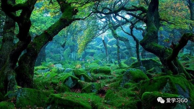 赛跑的拼音，赛跑的拼音怎么读（部编版二年级下册第23课《祖先的摇篮》知识点+图文讲解）