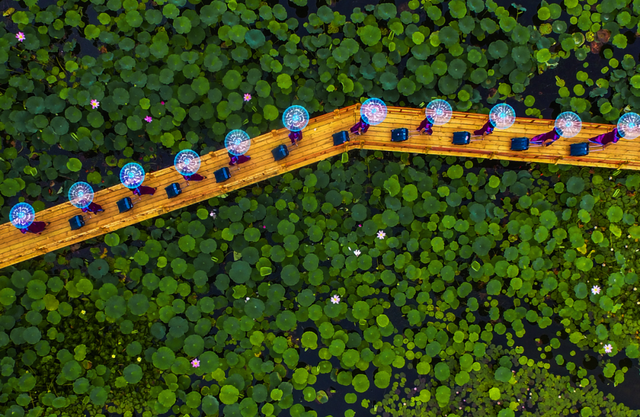 微山湖有哪些景区值得去玩，微山湖哪个景区最值得去（坐拥130000亩荷塘）