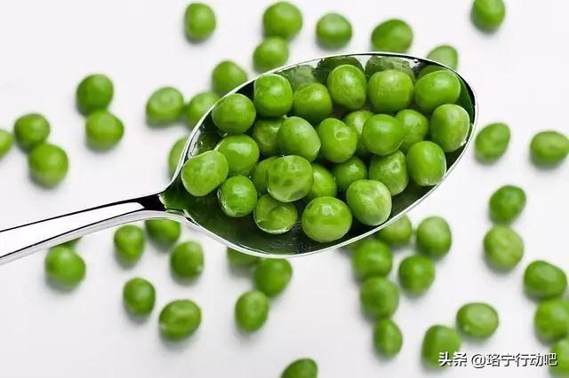 青豆热量高为什么减肥还能吃，减肥吃它比吃肉好