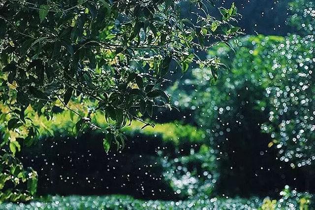 赏花赏月赏秋香，有哪些简短10字的中秋祝福语（唐伯虎：赏风赏月赏秋香）