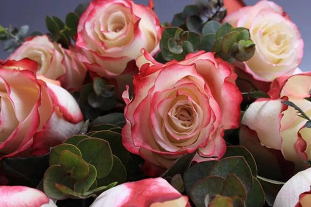 各种玫瑰花的含义，各色的玫瑰花有什么含意（一篇文章认全花店必备80种玫瑰花）