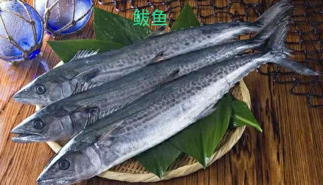 青花鱼有什么营养，宝宝补充DHA首选这5种鱼