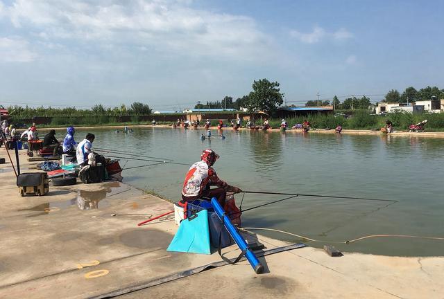 我的鱼塘是什么意思，你的鱼塘啥意思（黑坑特有的“签票”和“退票”）