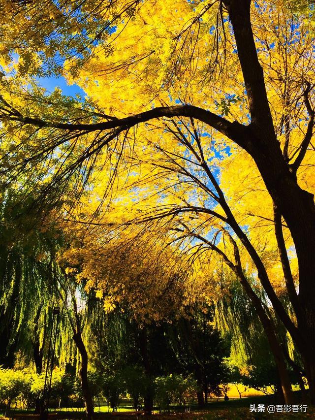 元大都遗址位于现在哪里，元大都遗址位于现在的哪个城市（遗迹众多、秋色醉人、晨跑、遛弯的生态园林）