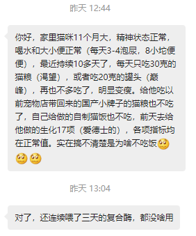 猫为什么不吃东西，猫为什么老是不吃东西是什么原因（猫咪厌食的几个原因你要了解一下）