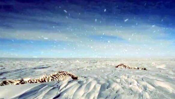 黄石火山爆发对网络有影响吗，黄石火山群爆发会怎样（会使人类文明毁于一旦）