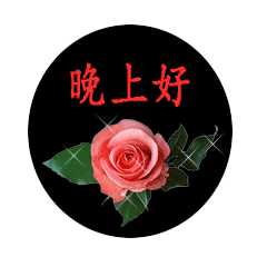 打招呼的句子，晚安心语打招呼的语句