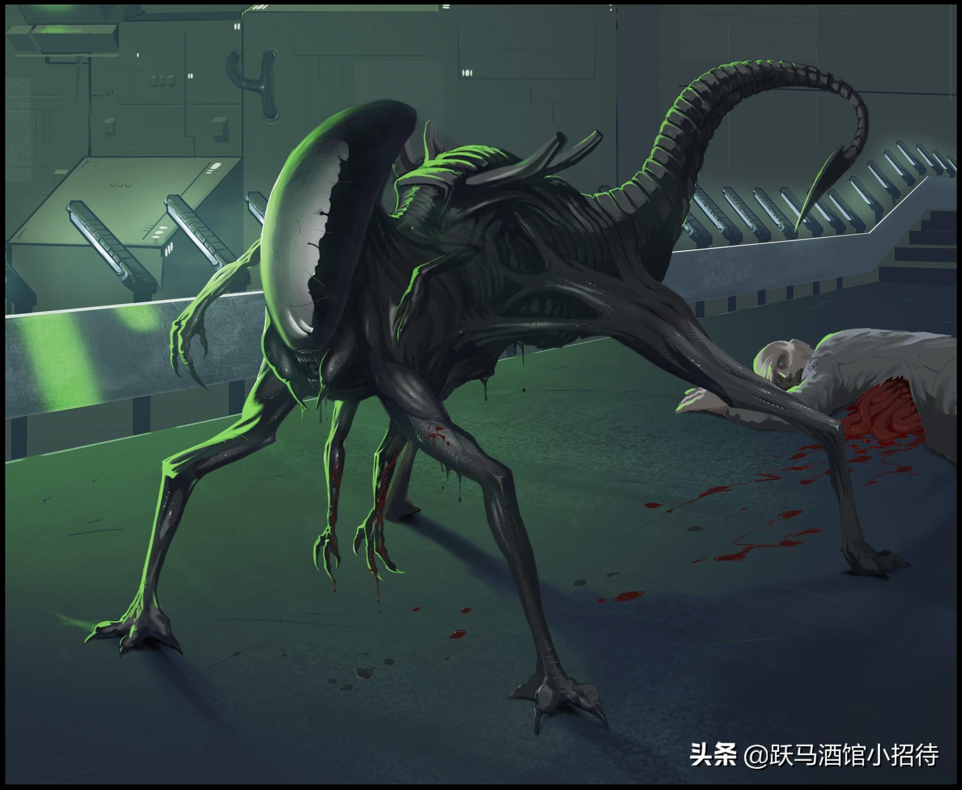 介绍几种鲜为人知的异形变异体