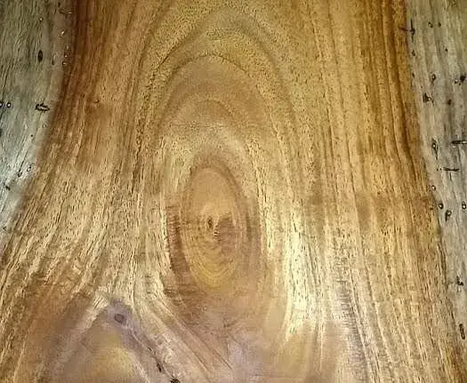 缅甸花枝是红木吗，缅甸花枝是红木吗值钱吗（18种濒危管制红木木种盘点）