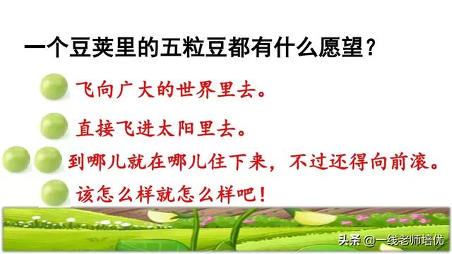 才华横溢的近义词，形容聪明才华横溢的成语有哪些（部编四年级上第5课《一个豆荚里的五粒豆》重点知识+课文讲解）