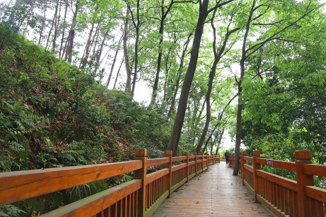 侗族的民族特色是什么，侗族的传统文化特色（认识柳州百里侗乡三江县）