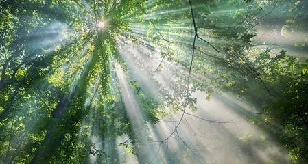 人眼是光速吗，1马赫是多少速度（一睁眼就能看到几百光年外的星星）