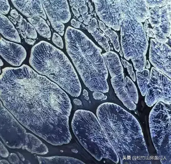 建盏怎么养，建盏怎么养彩（掌握三招轻松养出七彩建盏的秘诀）