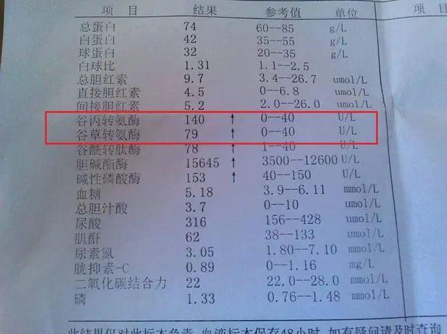 谷丙转氨酶高的原因视频(年轻人谷丙转氨酶偏高的原因)