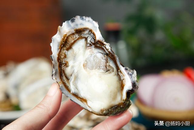 带壳生蚝水煮多久才熟，带壳的生蚝水煮几分钟可以熟（肥美生蚝这3种做法用时各异）