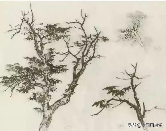 大树怎么画，大树怎么画的特别好看（缠枝、挺杆、屈节、钮裂、一棵树如何画）