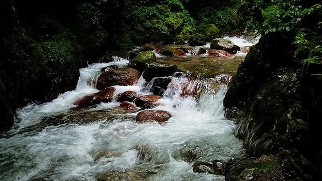 日理万机的近义词，日理万机同义词（收藏起来，回家教给孩子）