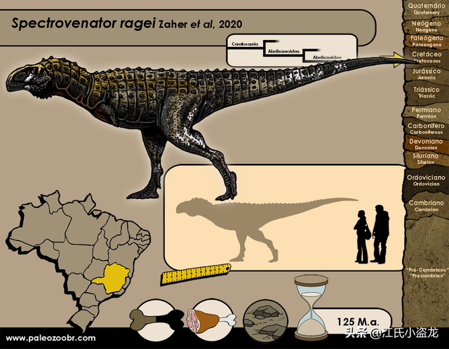re网名的含义，Re微信昵称（2020古生物学家到底命名了多少种恐龙）