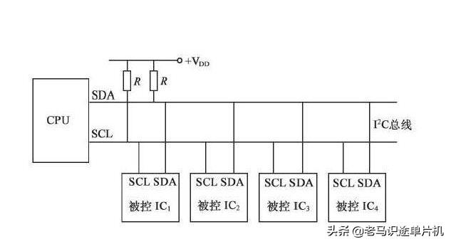 中餐菜肴有什么饮食规范，中餐的用餐形式包括哪些（基于proteus的51单片机开发实例27-I2C总线的读写）
