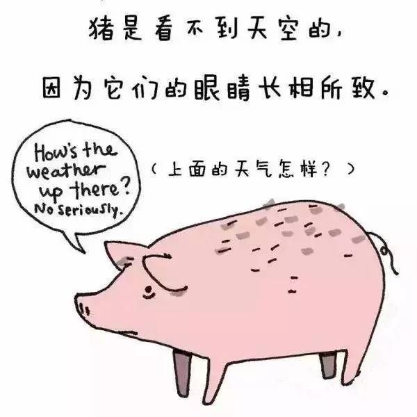 蟑螂为什么叫小强，为啥蟑螂叫小强（这些关于动物的小秘密你知道吗）