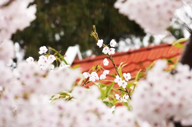 青岛一日游攻略，青岛一日游（青岛最最最适合一日游的78个景点）