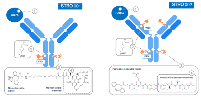 trna在哪里合成，tRNA在哪里合成（非天然氨基酸抗体偶联技术解析）