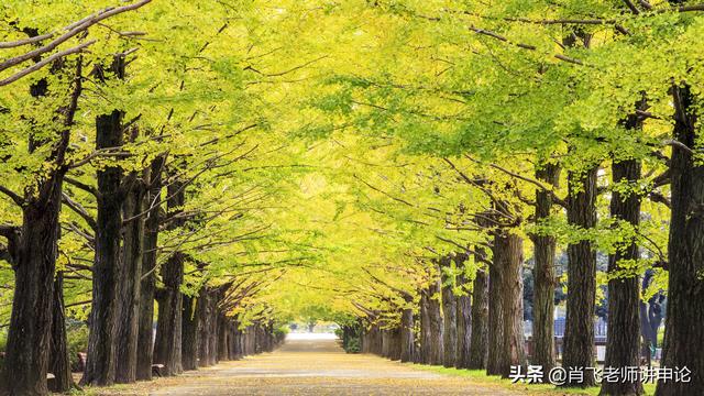 发散思维的特征，简述发散思维的基本特征。（思维有哪些类型）