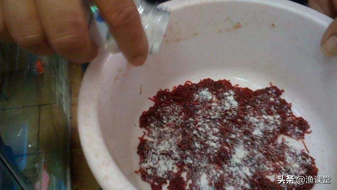 黑坑禁用红虫等十大饵料揭秘：老板为何严令禁止使用？钓鱼人必看真相